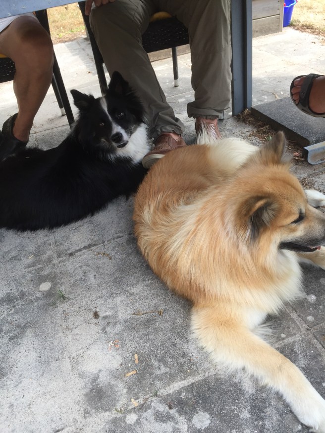 883FC5A0-7667-492A-828E-1D1E35DE55C0